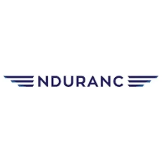 Endurance Lasers brand logo for endurancelasers.com