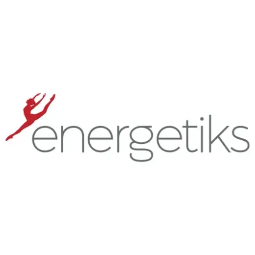 Energetiks brand logo for energetiks.com