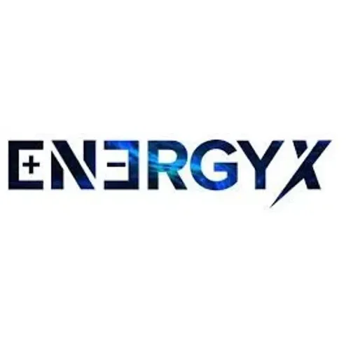 EnergyX brand logo for energyx.com