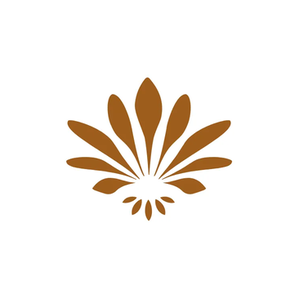 Enessa brand logo for enessa.com