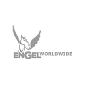engelworldwide brand logo for engelworldwide.com