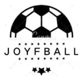 Enjoy FBall brand logo for enjoyfball.vip