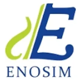 Enosim brand logo for enosim.io