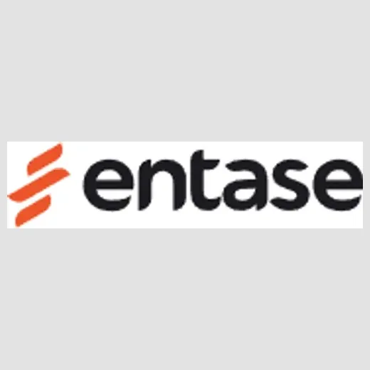 Entase brand logo for entase.com