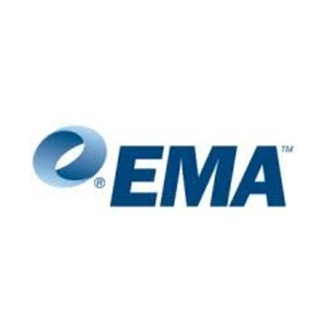 Enterprise Management brand logo for enterprisemanagement.com
