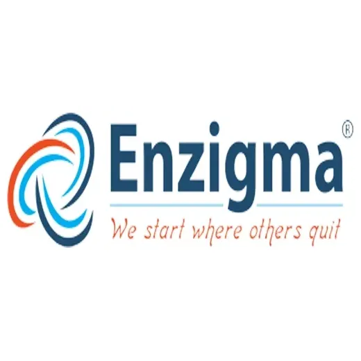Enzigma brand logo for enzigma.com