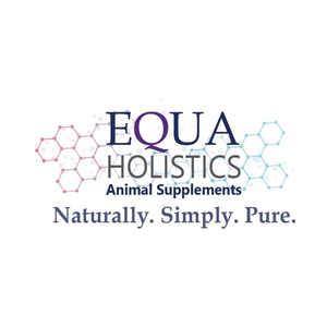 Equa Holistics brand logo for equaholistics.com