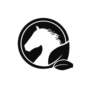 Equidae brand logo for equidae.com.au