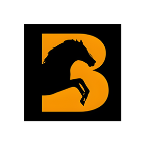 Equine Balance Bands brand logo for equinebalancebands.com
