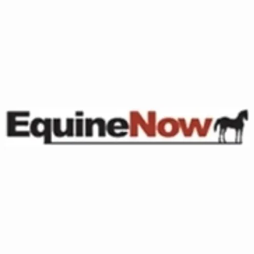 EquineNow brand logo for equinenow.com