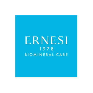 Ernesi 1978 brand logo for ernesi-1978.com