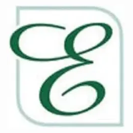 eshelmanaccounting brand logo for eshelmanaccounting.com