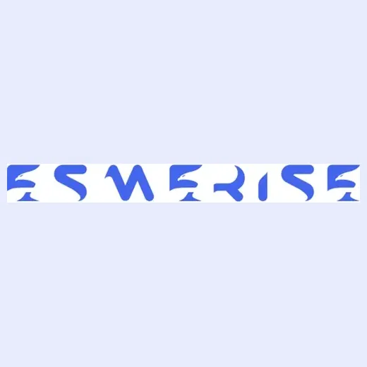 Esmerise brand logo for esmerise.com