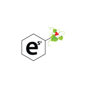 Esprit Medi Spa brand logo for espritmedispaclinic.com