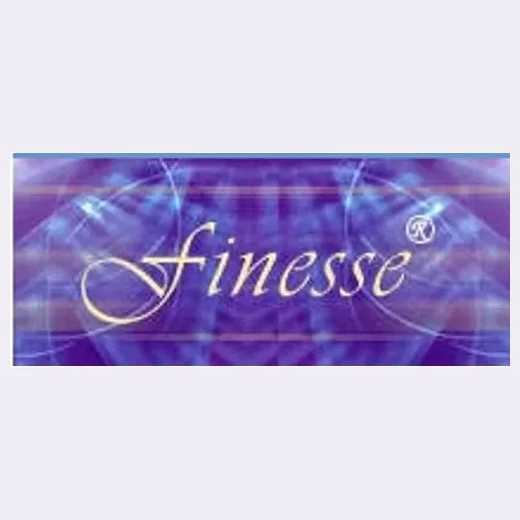 Ess Finesse brand logo for essfinesse.com