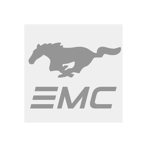 Essex Mustang brand logo for essexmustang.com