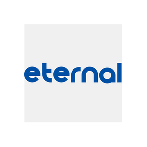 Eternal Soft brand logo for eternalsoftsolutions.com