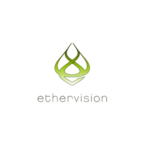 Ethervision brand logo for ethervision.net