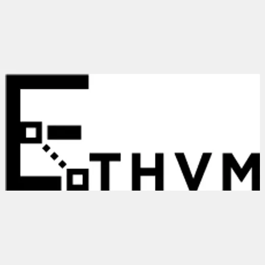 EthVM brand logo for ethvm.com