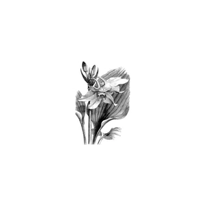 eucharisflowers brand logo for eucharisflowers.com