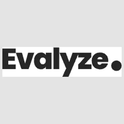 Evalyze brand logo for evalyze.ai