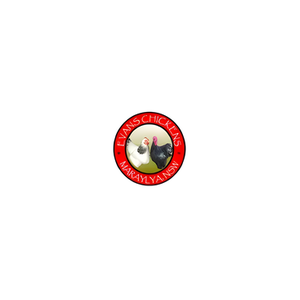 Evans Chickens brand logo for evanschickens.com.au