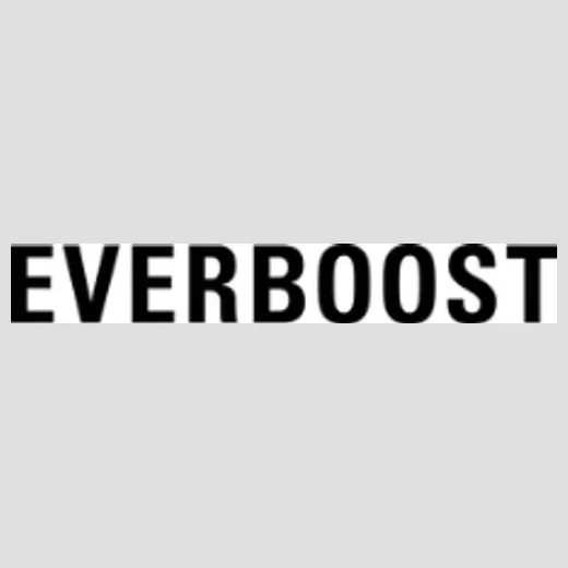 everboost brand logo for everboost.com