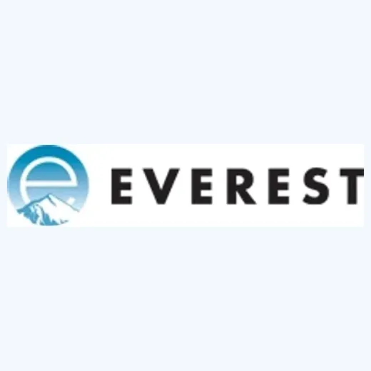 Everest Toys brand logo for everesttoys.com