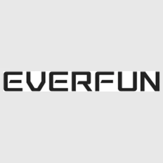 Everfun brand logo for everfun.com