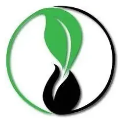Evergreen Wrapping brand logo for evergreenwrapping.com