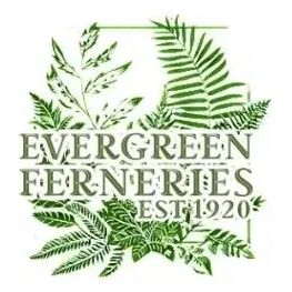 evergreenferneries brand logo for evergreenferneries.com