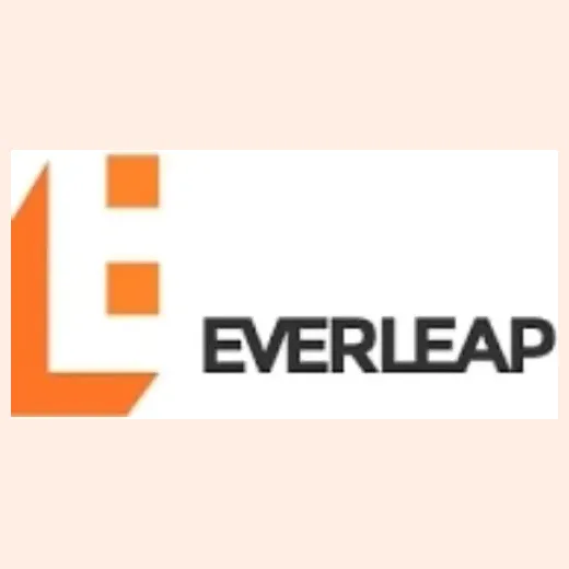 Everleap brand logo for everleap.com