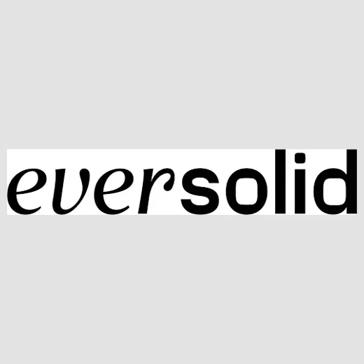 EverSolid brand logo for eversolid.shop