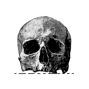 Everything Skull brand logo for everythingskull.com