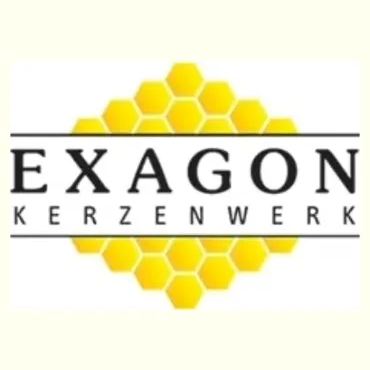 Exagon brand logo for exagon.ch