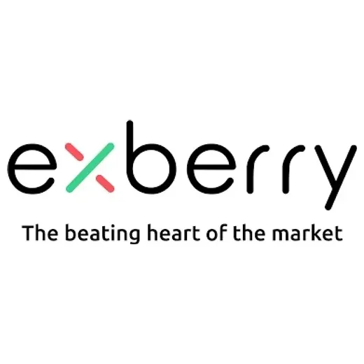 Exberry brand logo for exberry.io