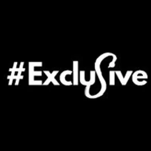Exclusive Steering brand logo for exclusivesteering.com