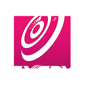 Exedy brand logo for exedyusa.com