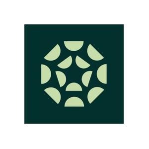 Exemplifi brand logo for exemplifi.io