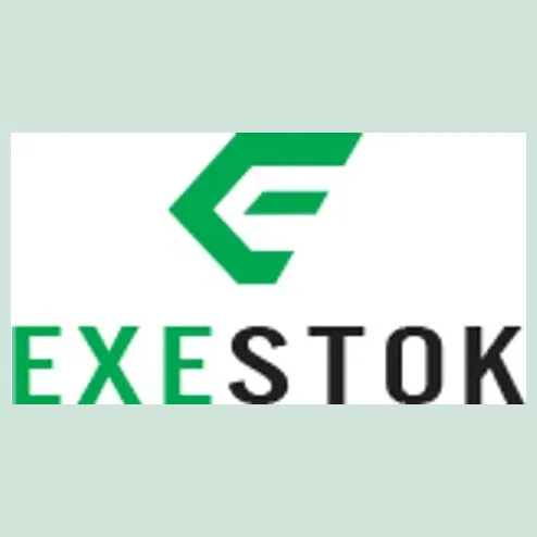 exestok brand logo for exestok.com