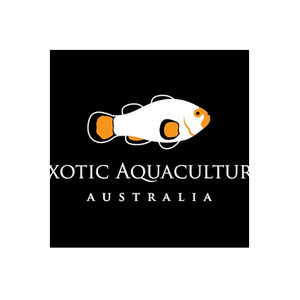 Exotica Aquaculture Australia brand logo for exoticaquacultureaustralia.com