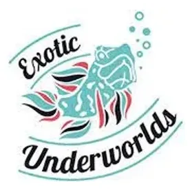 exoticunderworld brand logo for exoticunderworld.com
