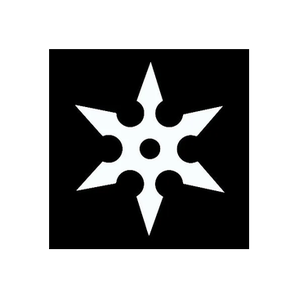 Exposure Ninja brand logo for exposureninja.com