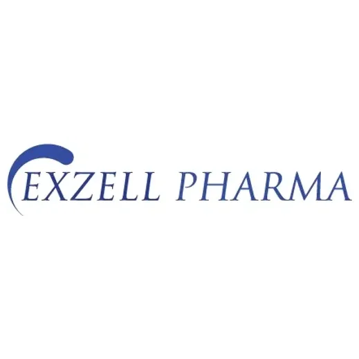 Exzell brand logo for exzell.com