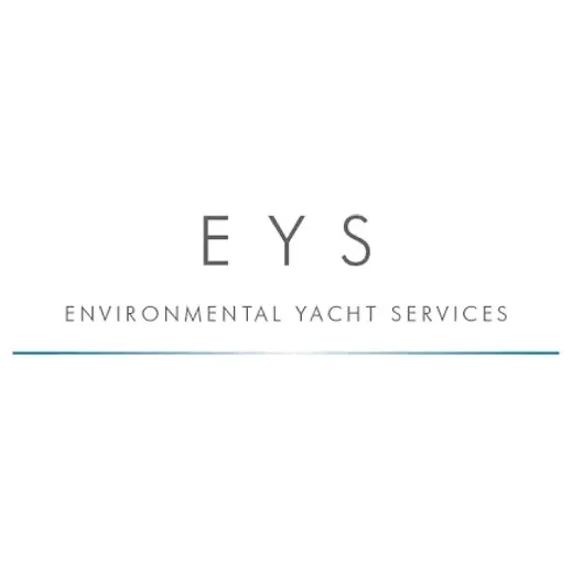 Ey Services brand logo for eyservices.com