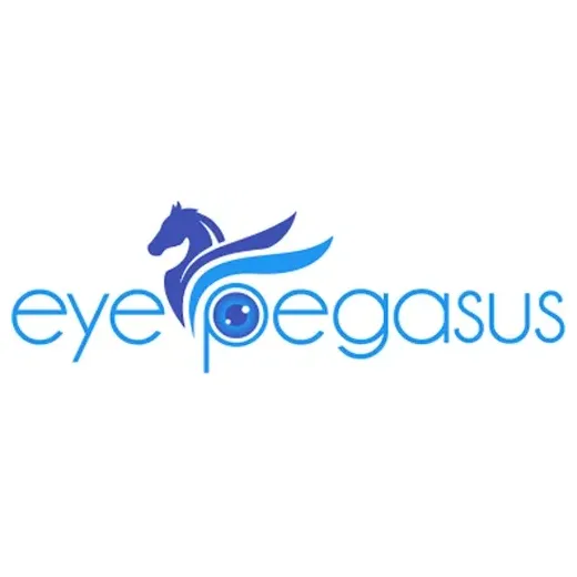 Eye Pegasus brand logo for eyepegasus.com
