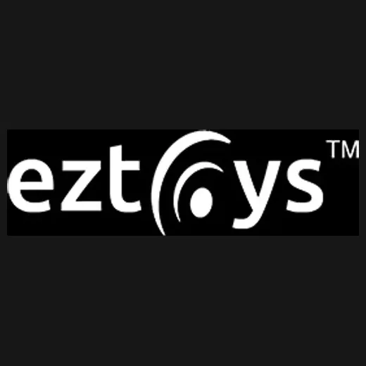 EZ Toys brand logo for eztoys.com