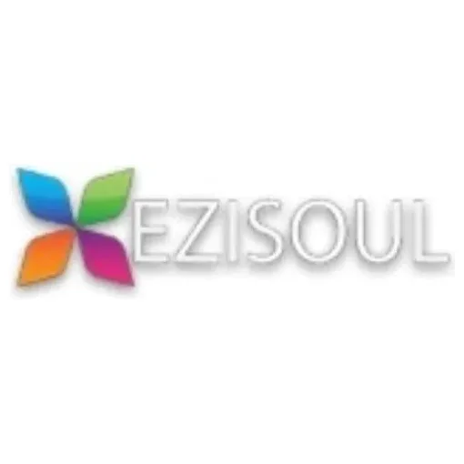 Ezi Soul brand logo for ezisoul.com