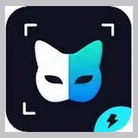 FacePlay brand logo for faceplay.cc