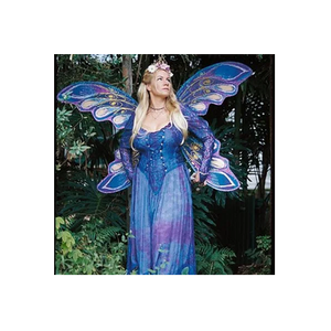 Fairy brand logo for fairy.com.au